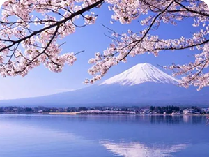 Tokyo Highlights & Mt. Fuji Day Trip